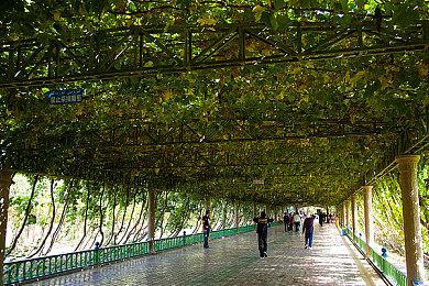 《战神：诸神黄昏》公布“家族肖像”系列绘画作品